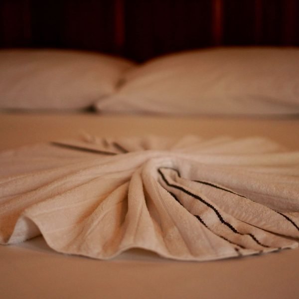 WhatsApp Image 2026-01-29 at 15.20.47 (1)