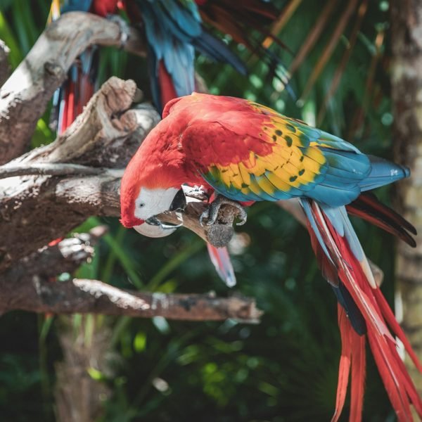 y-m-JA-I_pYE7gs-unsplash